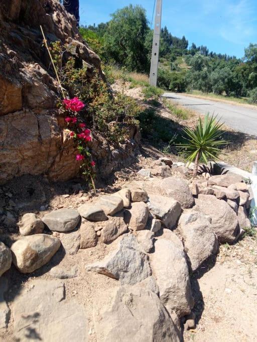 Casa De Celebrar A Vida Villa Monchique Eksteriør bilde